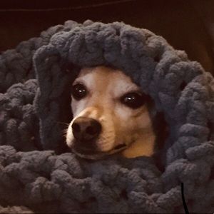 Meet your Posher, Thomas